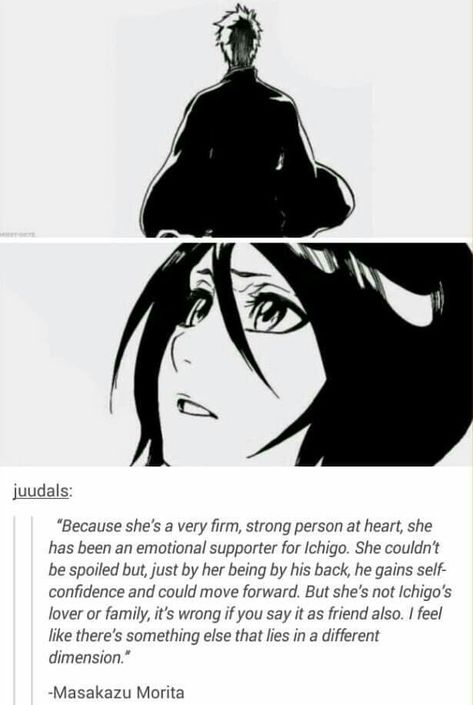 Bleach Ichigo And Rukia, Bleach Couples, Ichigo X Rukia, Strong Person, Clorox Bleach, Bleach Rukia, Bleach Funny, Ichigo Y Rukia, Ichigo And Rukia