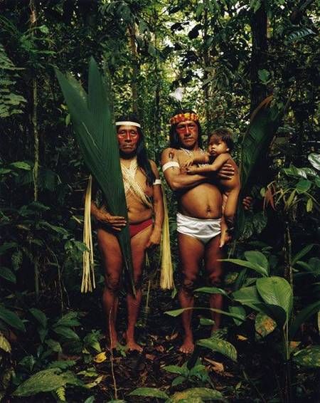 Rainforest People, American Desert, Cedar Sage, Frog Species, Forest People, Amazon Forest, Indigenous Tribes, Zoom Photo, Welcome To The Jungle