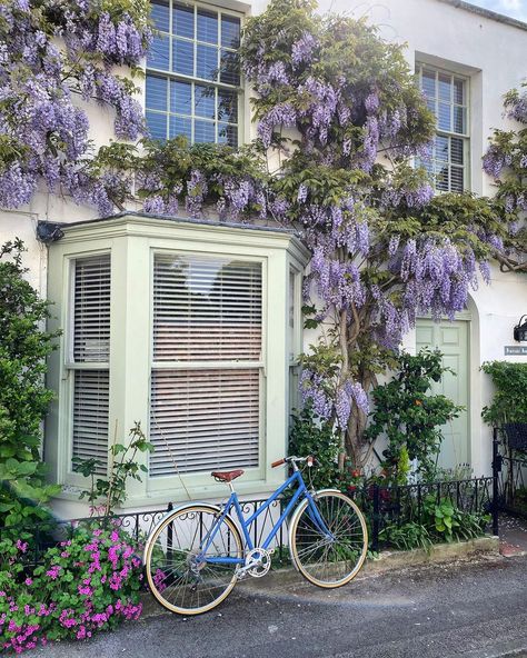 Pippa Janey on Instagram: “Wisteria hysteria! My lovely bike outside next door’s ready to go 🚲 . . . . . #wisteriahysteria #wisteria #spring #maymagic#britaininbloom…” Wisteria Staircase, Wisteria Front Door, Wisteria On House Exterior, House With Wisteria, Wisteria On Brick House, Wisteria On House, Wisteria House Entrance, Wisteria Window, Wisteria Aesthetic