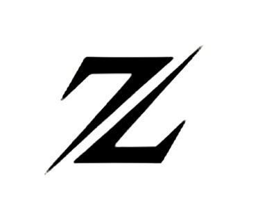 Z Tattoo Letter Design, Z Letter Logo, Frank Album, Z Tattoo, Z Logo, Art Things, Gen Z, Logo Fonts, Tattoo Lettering