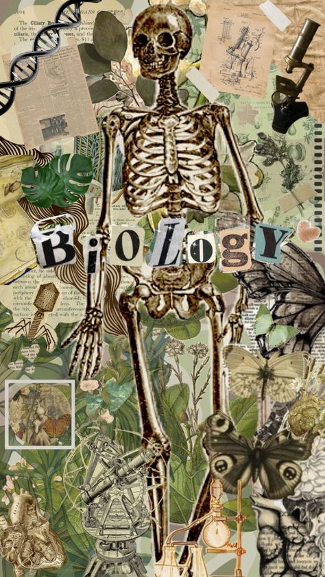 Biology Poster, Biology Projects, School Book Covers, Medical School Life, Medical Laboratory Science, Hypebeast Wallpaper, Medical Anatomy, Collage Illustration, Science Biology