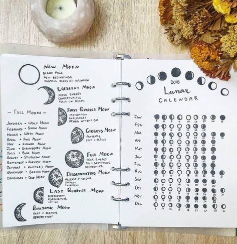 25+ Stellar Moon Phase Spreads for your bullet journal | My Inner Creative The Moon Phases, Moon Journal, Spiritual Journals, Grimoire Book, Book Of Shadow, Lunar Calendar, Bullet Journal Notebook, Bullet Journal Spread, Creative Journal