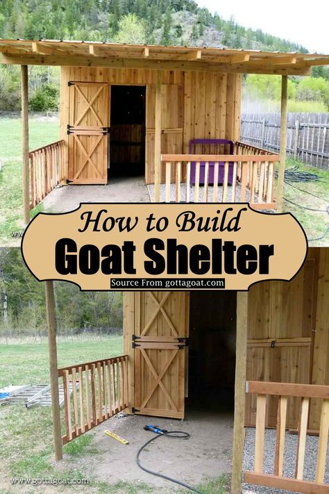 15 Free DIY Goat Shelter Plans - DIYs Craftsy Goat Farming Ideas, Goat Pen Ideas, Diy Goat Shelter, Chandeliers For Entryway, Goat Feeders, Goat Fencing, Milking Goats, Goat Fence, Milk Goats