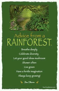 Pin by Jessica Allbert Segrest on Advice from.... | Pinterest Celebrate Diversity, Keep Growing, Good Ideas, Advice Quotes, Wedding Advice, True Nature, Art Card, Nature Quotes, Spirit Guides