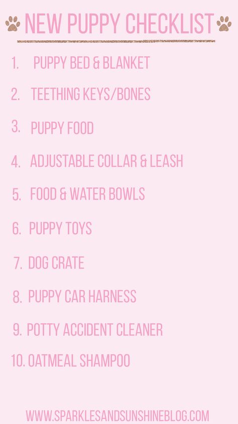 new puppy checklist, new puppy tips, new puppy checklist shopping, first puppy, first puppy checklist, first puppy tips, first puppy essentials, things you need for your first puppy, getting your first puppy, your first puppy, first puppy supplies, what to buy for first puppy, what you need for a new puppy, what to buy for a new puppy, what to get for a new puppy, new puppy dog training tips, new puppy announcement, new puppy photoshoot, first puppy photos, dog blogger, dog mom blogger, pet blog Dog Hygiene, Health Checklist, Puppy Announcement, New Puppy Checklist, Puppy Checklist, Mom Essentials, Puppy Room, Puppy 101, Puppy Mom