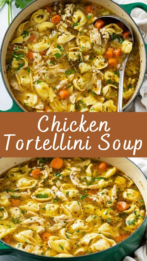 Chicken Tortellini Soup Recipe | Cheff Recipes Chicken Stuffed Shells, Sausage Potato Soup, Chicken With Vegetables, Sausage Tortellini Soup, Chicken Tortellini Soup, Italian Seasonings, Sausage Tortellini, Chicken Tortellini, Tortellini Soup