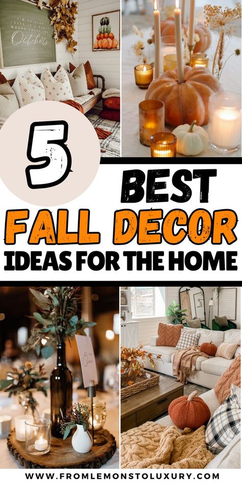 fall decor ideas Fall Decorating Ideas 2024, Simple Fall Decor Ideas For The Home, Fall Indoor Decor Ideas, Indoor Fall Decor Ideas, Cozy Autumn Home, Natural Fall Decor, Simple Fall Decor, Indoor Fall Decor, Easy Fall Decor