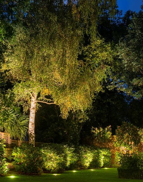 Low-level illumination creates the opportunity to have multiple layers of lighting, adding depth and interest. Also, lighting a garden at night will widen the house beyond the dark reflections on windows, adding a sense of security. Photo by @joannakossak . . #lightingdesign #outdoorlighting #securitylighting #landscapelighting Garden At Night Lights, Garden With Lights Night, Garden Illumination Ideas, Light Installation Outdoor, Garden Night Aesthetic, Backyard Illumination, On A Budget Backyard Ideas, Tropical Landscape Lighting, Patio Backyard Ideas