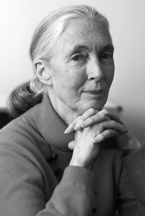 Jane Goodall, Dark Skies, Aging Gracefully, 인물 사진, Famous Faces, Inspirational People, Real Women, Strong Women, Good People