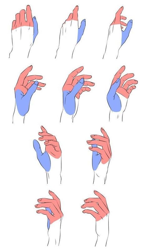 Hand Gestures, Hand Drawing Reference, Body Reference Drawing, Hand Reference, Poses References, Figure Drawing Reference, Body Drawing, Anatomy Reference, Anime Drawings Tutorials