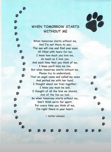 When tomorrow... Quotes Heaven, Pet Quotes Dog, Dog Heaven Quotes, When Tomorrow Starts, Pet Poems, Dogs Quotes, Miss My Dog, Perro Shih Tzu, Pet Quotes