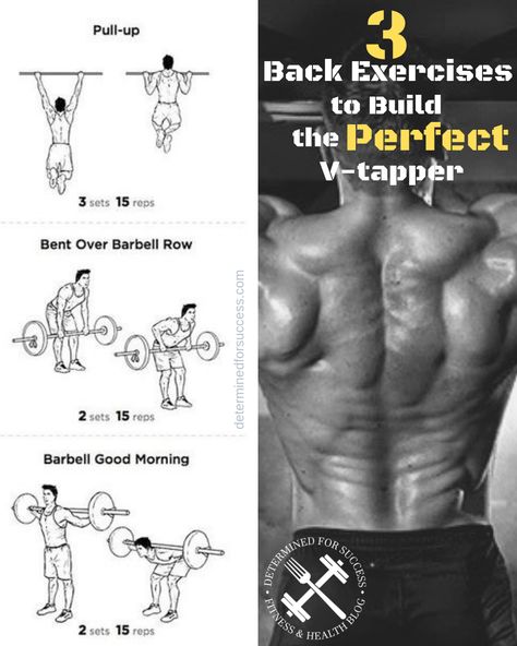 3 Back Exercises To Build The Perfect V-Taper Here are 3 exercises that I do on every back day without fail. Keep in mind, I’ve trained back at least two days a week for the past four years. As always, you want to start with the minimum required volume to still achieve adaptation benchmarks. #fitness #bodybuilding #Back #workout V Taper Workout, V Shape Body Men Workout, V Shape Workout Men, V Taper Workout Men At Home, Back Workout For Mass Build Muscle, Barbell Good Morning, Back Flexibility, Barbell Row, Good Back Workouts