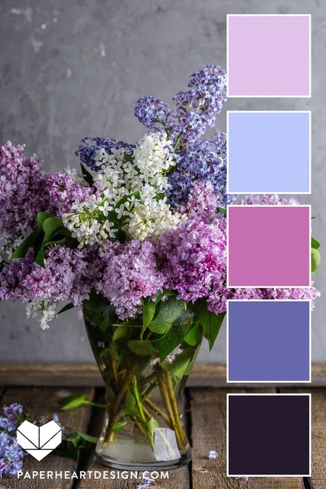 Color Palette For Flowers, Color Palette Periwinkle, Colors That Go With Periwinkle, Colours That Go With Lilac, Lilac Palette Color Combos, Periwinkle Color Scheme, Colors That Go With Lilac, Color Palettes With Purple, Lilac Branding