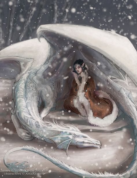 Winter dragon..... Dragons and faeries. Something from my childhood and teen years that I adored. Don't think I'll ever truly outgrow them either. :) Pics Of Dragons, Dragon And Human, Dragon Familiar, Winter Dragon, Dragon Medieval, Snow Dragon, Creature Fantasy, Dragon's Lair, Fire Inside