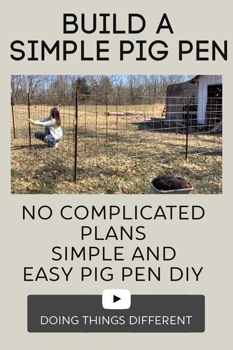 Pig Pen Fencing, Feeder Pig Pen, Easy Pig Pen Ideas, Diy Hog Pen, How To Build A Pig Pen, Building A Pig Pen, Pig Fencing Ideas, Cheap Pig Pen Ideas, Diy Pig Pen Ideas