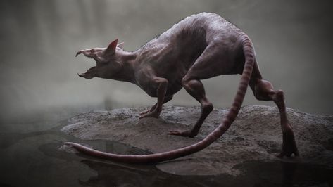 Creepy Animals, Alien Concept Art, Monster Concept Art, Alien Creatures, Scary Art, Weird Creatures, Monster Design, Creature Concept Art, Creature Concept