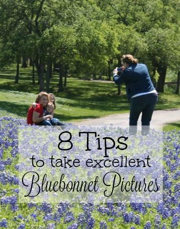 8 Tips for Taking Bluebonnet Pictures | Texas Bluebonnets Kids Bluebonnet Pictures, Texas Bluebonnets Photography, Bluebonnet Baby Pictures, Bluebonnet Family Photos What To Wear, Bluebonnet Photoshoot Kids, Blue Bonnet Family Photos, Baby Bluebonnet Pictures, Bluebonnet Senior Pictures, Bluebonnet Photoshoot Family Pics