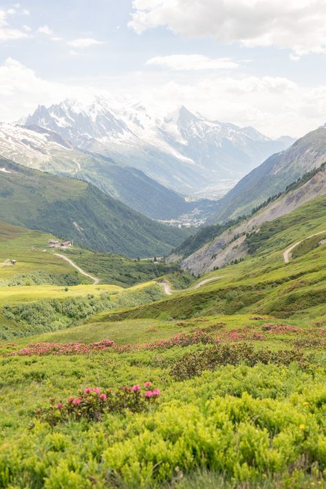 Where to Go For France's Most Spectacular Lavender Fields, Castles, and Mountains | Condé Nast Traveler Green Aesthetics, Loire River, Mountains Travel, Europe Vacation, The Far Side, Conde Nast Traveler, Travel Bug, French Countryside, Lavender Fields