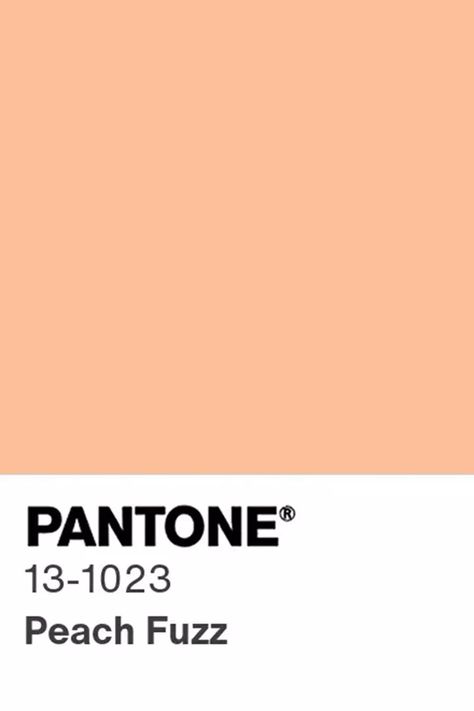 The Pantone 2024 Color of the Year Is Officially Here, and It’s Peachy 2024 Colors, Pantone 2024, Color Of The Year 2024, Dutch Boy Paint, Color Durazno, Dark Paint Colors, Trending Paint Colors, Crayon Box, Color Chip