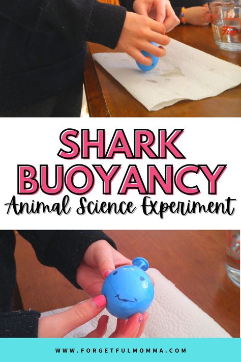 Fish Activities For Preschool Science, Zoo Animal Science Experiment, Animal Themed Science Experiments, Buoyancy Experiments For Kids, Shark Experiments For Kids, Shark Science Experiments For Kids, Shark Stem Activities For Kids, Animal Science Fair Projects, Animal Stem Activities