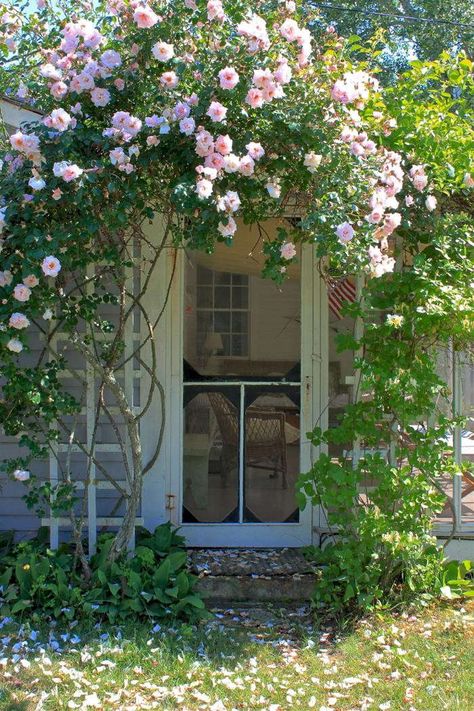 10 Ideas to Steal from English Cottage Gardens - Gardenista Pergola Vines, New Dawn Climbing Rose, Small Cottage Garden Ideas, Seaside Garden, Cottage Rose, Flowers Growing, Garden Vines, Cottage Garden Design, Garden Wallpaper