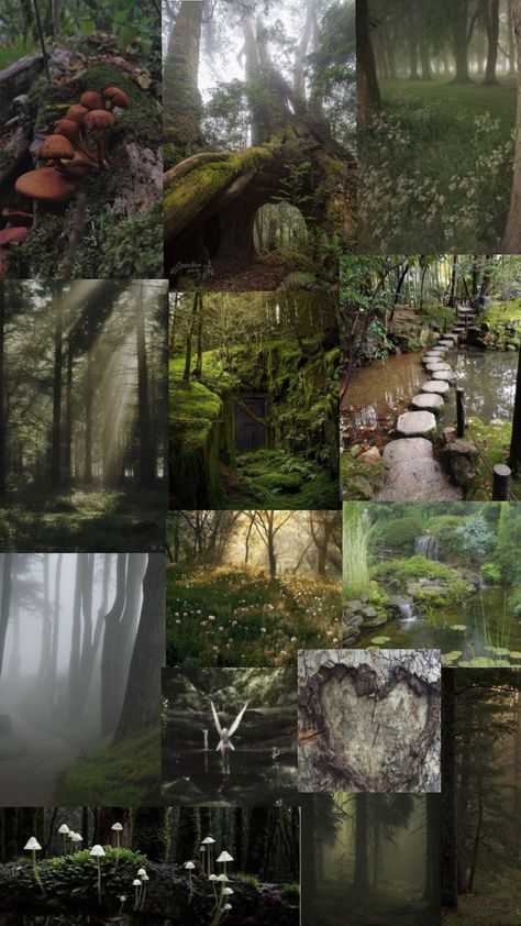 Beautiful forests #fairycore #fairycoreaesthetic #forest #aesthetic #mushrooms Sherwood Forest Aesthetic, Forest Aesthetic Fairy Tales, Fairytale Aesthetic Forests, Mythical Forest Aesthetic, Moors Aesthetic, Avalon Aesthetic, Forest Core Aesthetic, Mushrooms Fairycore, Enchanted Forest Aesthetic