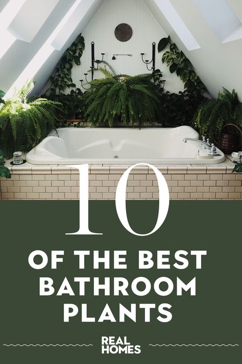 Humidity Plants, Bathroom With Plants, Best Bathroom Plants, Tub Deck, Plants Tropical, Tropical Garden Design, Decor Plants, Bathroom Red, Bathroom Plants