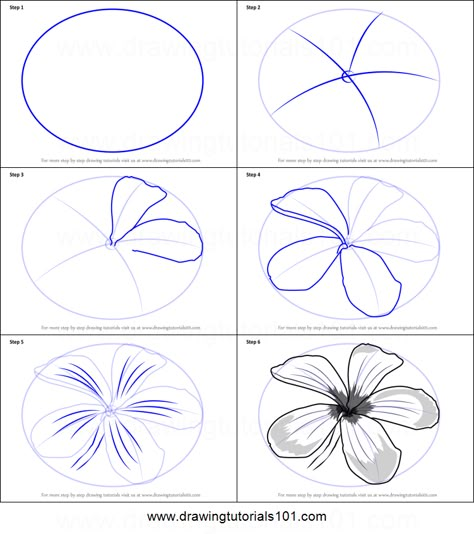 How to Draw Frangipani Flower Printable Drawing Sheet by DrawingTutorials101.com Simplified Flower Drawing, Frangipani Art Paintings, Flower Art Step By Step, Drawing Flower Petals, How To Flower Drawing, Step By Step Drawing Of Flowers, How To Paint Frangipani Flower, How To Draw Flower Petals Step By Step, How To Draw Frangipani Flower