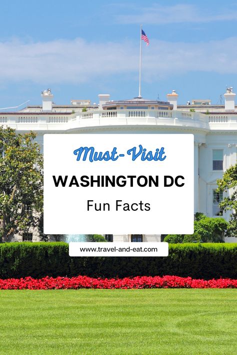 10 interesting facts about Washington DC, United States - How many of them did you know? Winter In Washington Dc, Weekend In Dc Washington Dc, Washington Dc Itinerary First Time, Washington Dc With Teens, Washington Dc Things To Do In, Cherry Blossom Washington Dc, Weekend In Dc, Washington Dc Itinerary, Washington National Cathedral