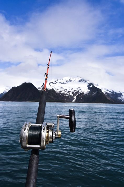 Salmon Fishing In Alaska, Fishing Alaska, Fishing In Alaska, Alaska Salmon Fishing, Alaska Salmon, Seward Alaska, Alaskan Salmon, Alaska Fishing, King Salmon