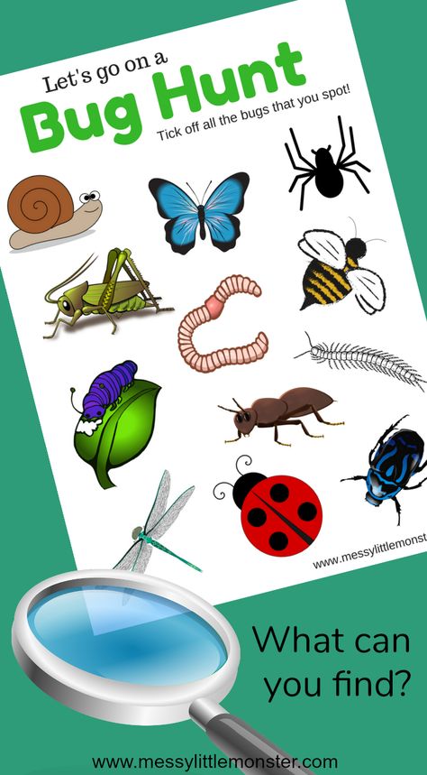 A free printable bug scavenger hunt for minibeast loving toddlers, preschoolers and kids. What insects will you find? A great outdoor activity for Spring. Bug Scavenger Hunt, Bug Hunting, Bug Activities, Bug Hunt, Insect Unit, Insects Preschool, Bugs Preschool, Insect Activities, Forest School Activities