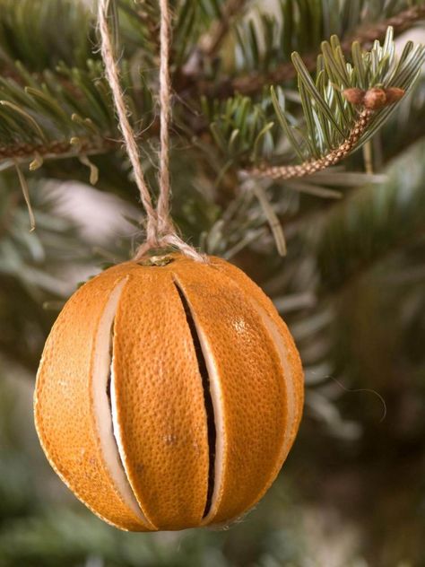 50 Incredible DIY Christmas Ornament Tutorials for 2021 Orange Pomanders, Natal Natural, Navidad Natural, Natural Christmas Tree, Fruit Ornaments, Natural Christmas Decor, Diy Christmas Ornament, Orange Christmas, Natural Christmas