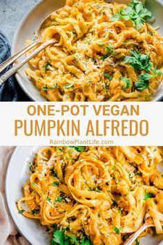 Pumpkin Alfredo, Pumpkin Pasta, Vegan Pasta Recipes, Alfredo Pasta, Vegan Pumpkin, Vegan Pasta, Vegan Cooking, Vegan Dinner Recipes, Vegan Eating