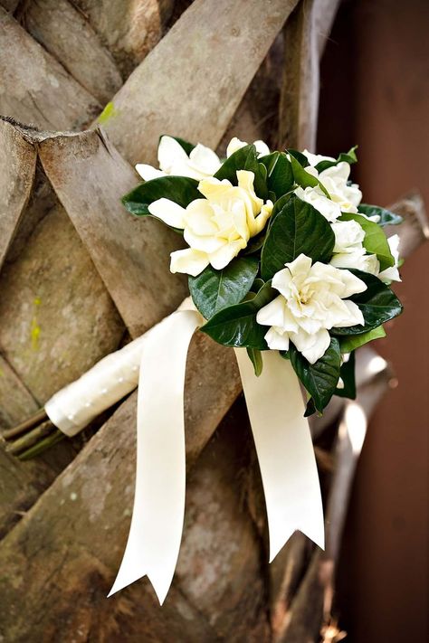 Ramo de novia elaborado con gardenias. Gardenia Wedding Bouquet, Gardenia Bridal Bouquet, Gardenia Bouquet, Gardenia Wedding, Small Wedding Bouquets, Wedding Reception Flowers, Luxury Garden, Wedding Cakes With Cupcakes, Wedding Wishes