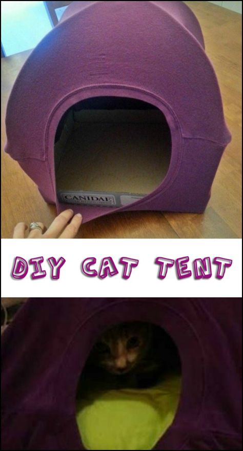 All You Need is a Large T-Shirt, Two Hangers, And Pliers to Make This DIY Cat Tent Diy Cat Teepee, Cat Playground Diy, Diy Old Tshirts, Playground Diy, Diy Cat House, Cat Rooms, Hamper Diy, Diy Cat Hammock, Diy Cat Tent