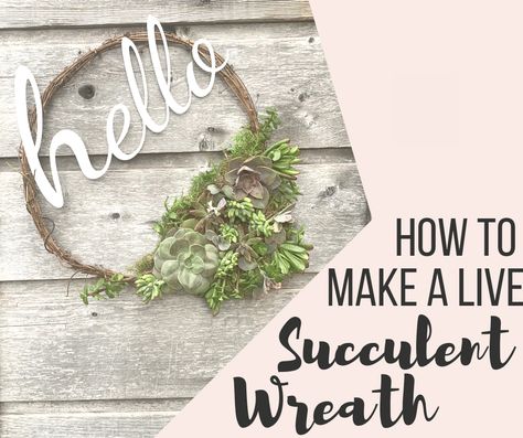 Make your own succulent living wreath today and have it hanging on your door in an hour or less. Just follow our easy instructions! Vintage Window Decor, Umbrella Wreath, Succulent Pumpkin, Living Wreath, Diy Spring Wreath, Diy Boho Decor, Spring Staples, Succulent Wreath, Pumpkin Projects