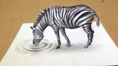 3d Illusion Drawing, 3d Drawing Techniques, Zebra Drawing, 3d Pencil Drawings, Trick Art, Optical Illusion Drawing, Epic Drawings, Illusion Drawings, 3d Art Drawing