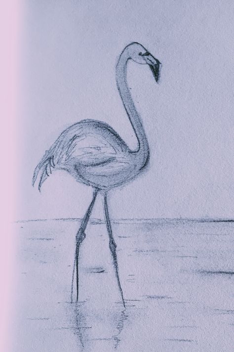 Flamingo art  Black and white Flamingo Drawing Pencil Sketches, Flamingo Drawing Realistic, Flamingo Sketch Drawings, Flamingo Drawing Pencil, Nursery Sketches, Easy Flamingo Drawing, Flamingo Drawing Simple, Draw Flamingo, Flamingo Drawings