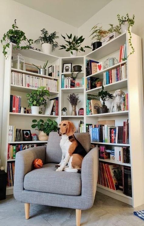 Plants And Books, Home Library Rooms, Home Library Design, Home Libraries, Home Library, Book Shelf, Home Office Design, Reading Nook, Decoration Design