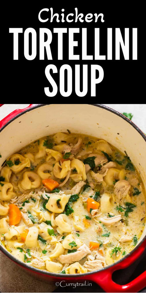 tortellini soup with chicken Chicken Tortilini Soup, Chicken Tortalini Soup, Chicken Tortillini Soup, Creamy Chicken Tortellini Soup, Creamy Chicken Tortellini, Cheese Tortellini Soup, Easy Creamy Chicken, Creamy Tortellini Soup, Chicken Tortellini Soup