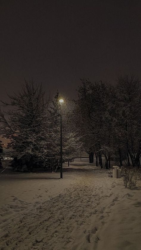 Snowing Aesthetic Wallpaper, Snow Night, Snow Pictures, Dark Christmas, Night Scenery, Pretty Landscapes, Dark Winter, Winter Wallpaper, Winter Scenery