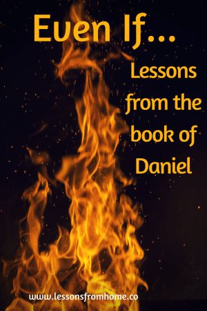 The Book Of Daniel Activities, Book Of Daniel Bible Study, Daniel Bible Study, Daniel In The Bible, Daniel Chapter 1, Youth Devotions, Daniel Bible, The Fiery Furnace, Faith Lessons