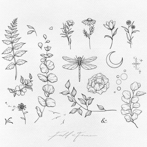 Boho Filler Tattoo, Pretty Filler Tattoos, Nature Tattoo Filler Ideas, Sticker Sleeve Filler, Botanical Gap Filler Tattoo, Filler Tattoo Ideas Gap Nature, Botanical Filler Tattoo, Small Space Filler Tattoo, Small Gap Filler Tattoo Ideas