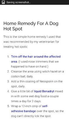 Simple home remedy for a dog with hot spot! How To Treat Hot Spots On Dogs, Dog Hot Spot Remedy Diy, Hot Spots On Dogs, Dog Hot Spots, Flea Remedies, Pet Remedies, Dog Remedies, Dog Essentials, Wet Dog Food