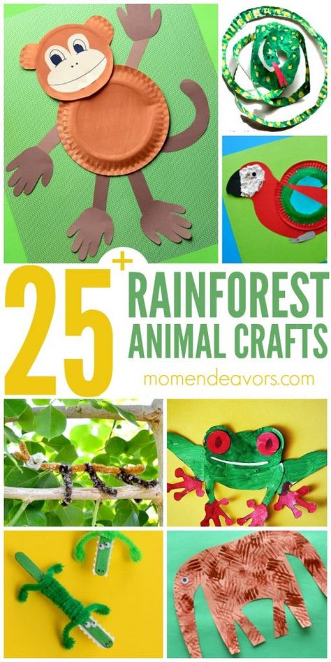 I have a thing for rainforest animals! Ok, well really ALL animals, but I especially love the tropical variety! As a kid, I actually had a whole jungle/rainforest-themed bedroom (complete with faux… Rainforest Classroom, Rainforest Crafts, Preschool Jungle, Rainforest Activities, Jungle Crafts, Rainforest Theme, Jungle Thema, Rainforest Animals, Baby Activity