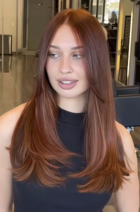 Brownish Red Hair, Hairstyle Ideas For Long Hair, Ideas For Long Hair, Chestnut Hair, Chestnut Hair Color, Red Hair Inspo, Honey Brown Hair, Brown Hair Inspo, Ginger Hair Color