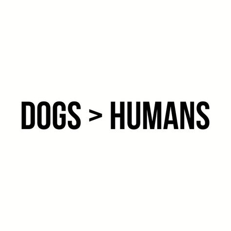 Dogs Better Than Humans Quotes, Dogs Over Humans Quotes, Dog Better Than Human Quotes, Dogs Are More Loyal Than People Quotes, Dogs Because People, Dog Is Better Than Human Quotes, The More I Learn About People Dogs, Dog T Shirts For Dogs, Dog Lover Captions