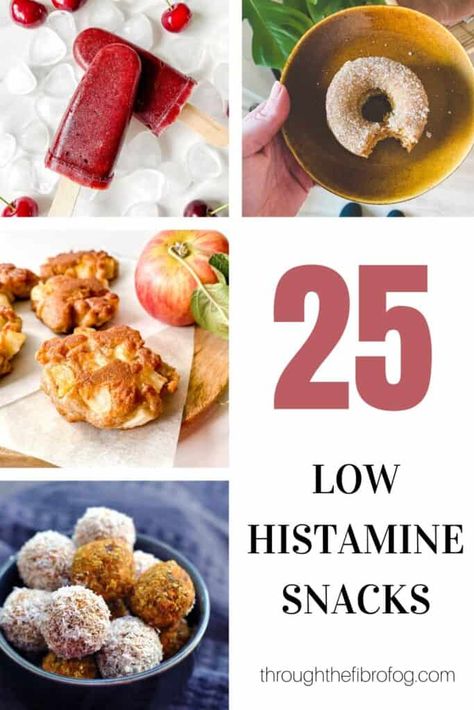 Low Histamine Snack Ideas, Gluten Free Low Histamine Recipes, No Histamine Recipes, Low Histamine Snacks Gluten Free, Low Histamine Recipes For Kids, Low Histamine Smoothie Recipes, Histamine Free Recipes, Low Histamine Dessert Recipes, Low Histamine Desserts