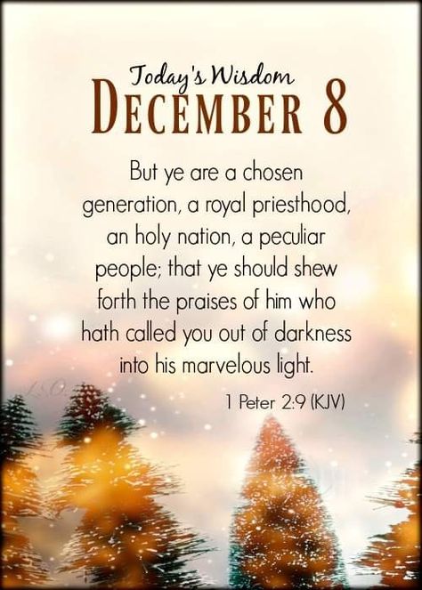 December Greetings, December Prayers, December Blessings, December Scriptures, December Images, Welcome December, December Quotes, Christmas Scripture, Christmas Bible Verses