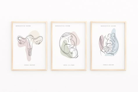 Digestive Anatomy, Anatomy Wall Art, Doctors Office Decor, Anatomy Poster, Clinic Decor, Hospital Logo, Gastrointestinal System, Clinic Interior Design, Poster Human